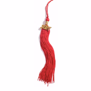 2027 Souvenir Tassel